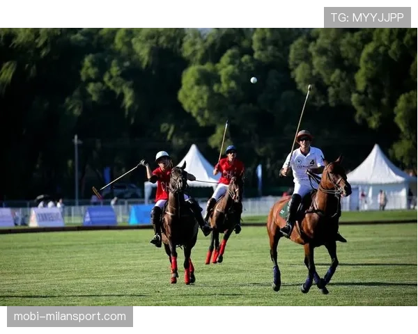 智能马球杆助力赛事击球角度与马匹跑动协同数据分析研究 智能马球杆助力赛事击球角度与马匹跑动协同数据分析研究